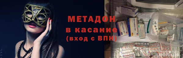 сатива Беломорск