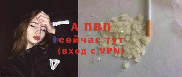 дмт Белокуриха