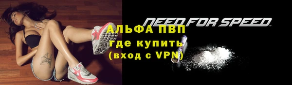 дмт Белокуриха