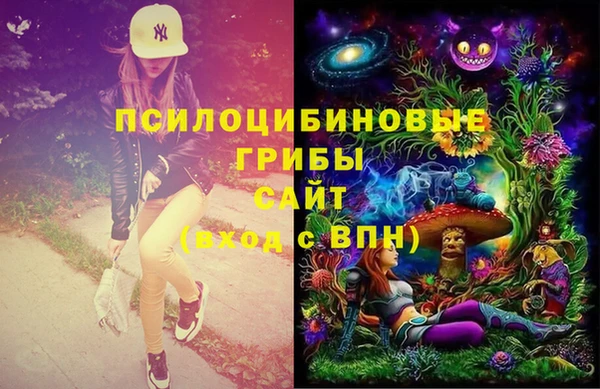 PSILOCYBIN Рыльск