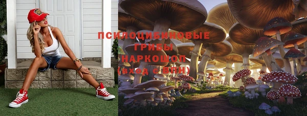 дмт Белокуриха