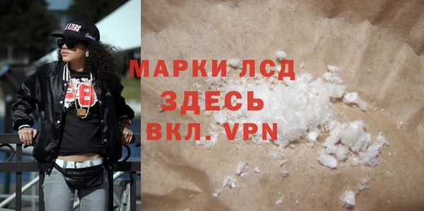 сатива Беломорск