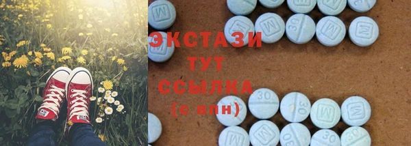 стаф Богородск