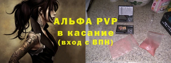 дмт Белокуриха