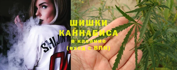 прущая мука Богданович