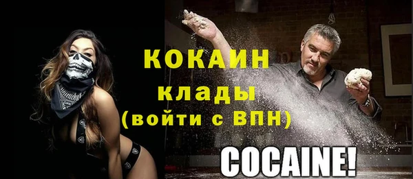сатива Беломорск